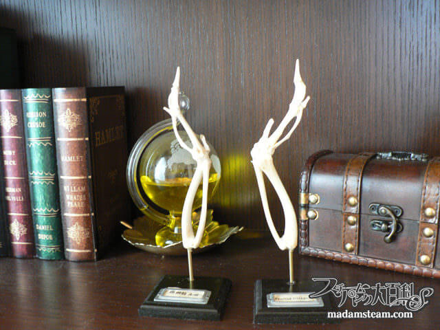 ポリデントにパイプユニッシュ キッチンで作る骨格標本1 手羽先編 スチームパンク大百科s