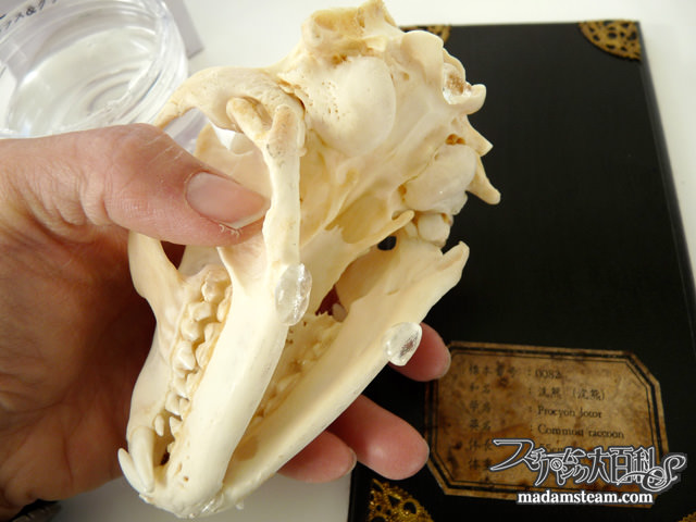 ミュージアムジェル・地震対策