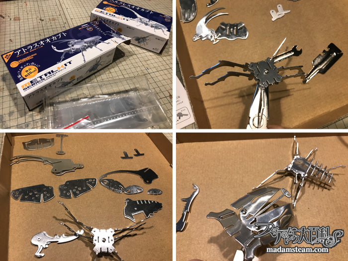 メタルキット昆虫と金属プレート実験