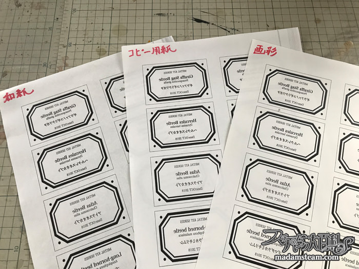 メタルキット昆虫と金属プレート実験