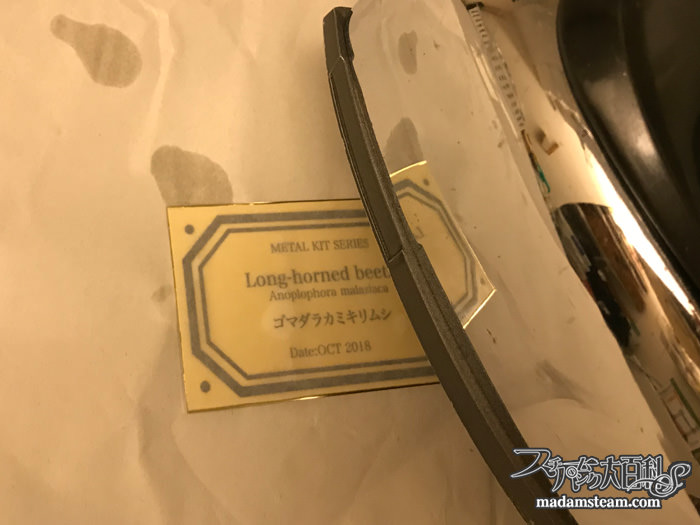 メタルキット昆虫と金属プレート実験