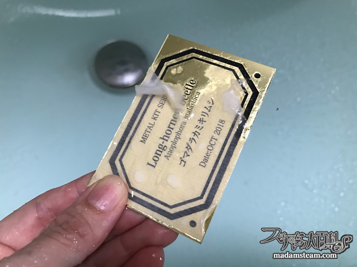 メタルキット昆虫と金属プレート実験