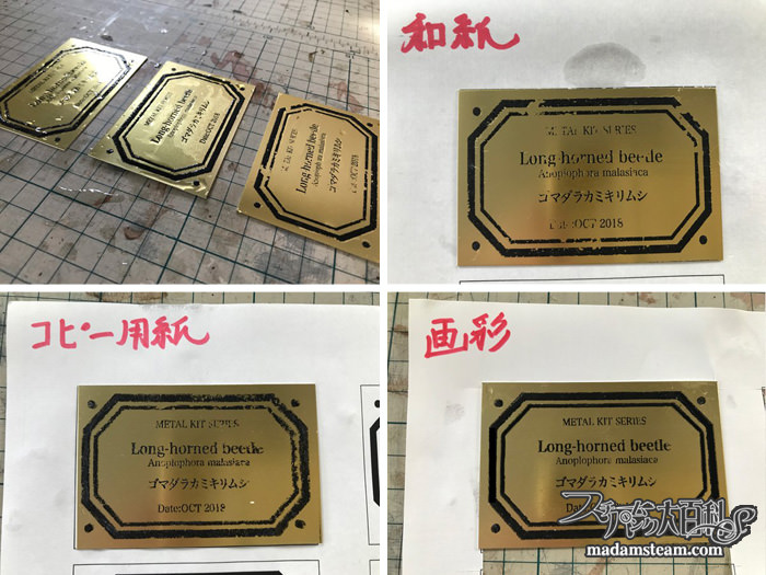 メタルキット昆虫と金属プレート実験