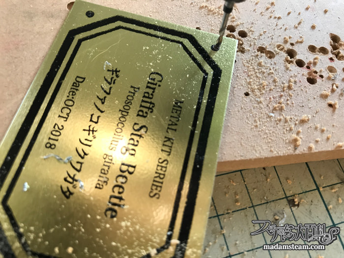 メタルキット昆虫と金属プレート実験