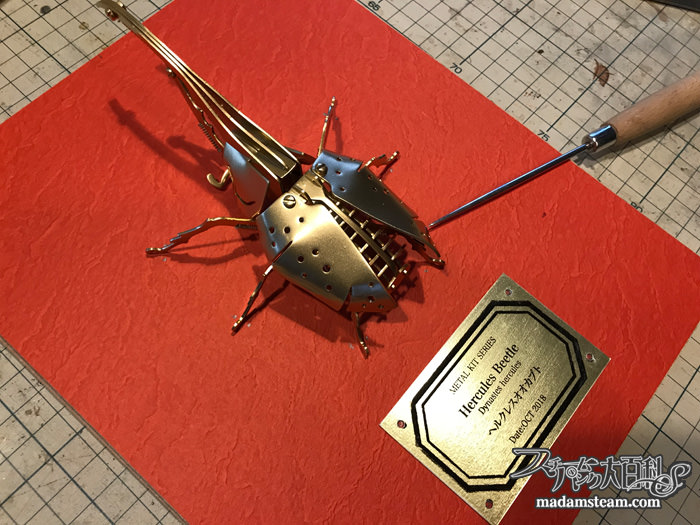 メタルキット昆虫と金属プレート実験