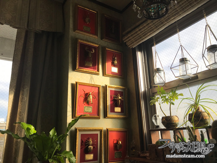 メタルキット昆虫と金属プレート実験