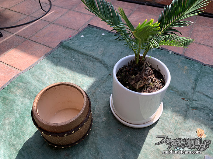 樽型の植木鉢リメイク