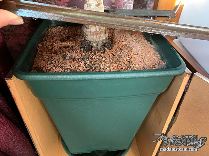 観葉植物鉢のプランツテーブル