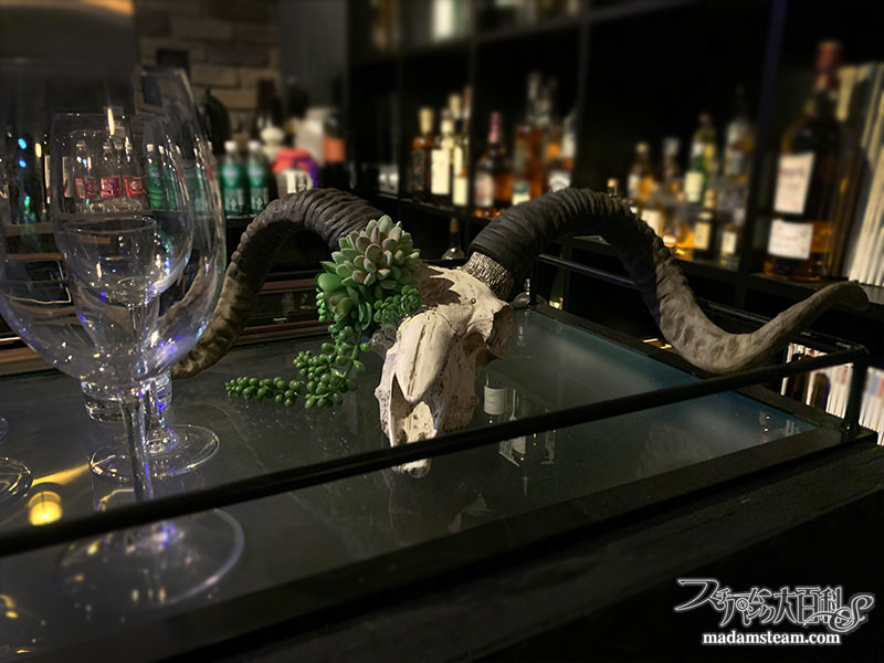 牛の頭蓋骨ランプとカシミアヤギの頭蓋骨オブジェ