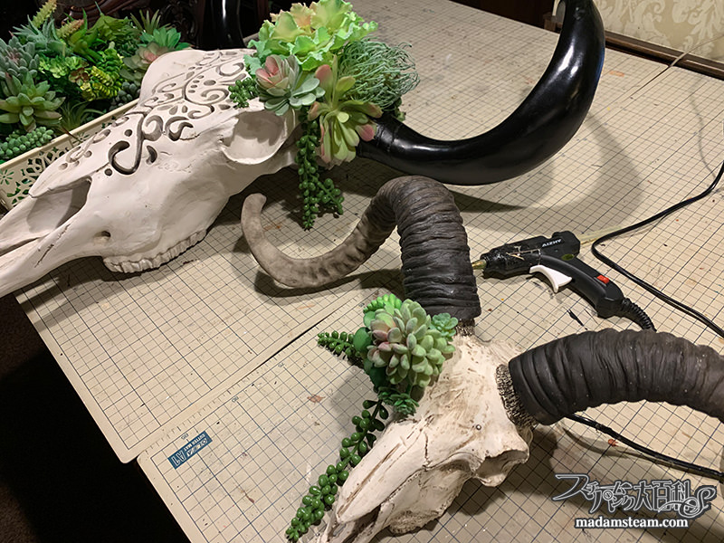 牛の頭蓋骨ランプとカシミアヤギの頭蓋骨オブジェ